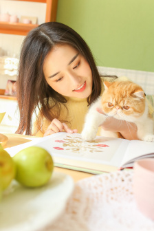 丧尸国度第三季